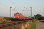 LEW 18485 - DB Regio "143 109"
26.07.2012 - Lauffen (Neckar)
Sören Hagenlocher