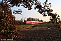 LEW 21309 - DB Regio "114 016-9"
22.10.2011 - Stralsund
Paul Tabbert